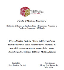 Cargini D., L’Area Marina Protetta “Torre del Cerrano”: un modello di studio per la risoluzione dei problemi di mortalità e mancato accrescimento della risorsa Chamelea gallina (Linneo 1758) nel Medio Adriatico, 2010