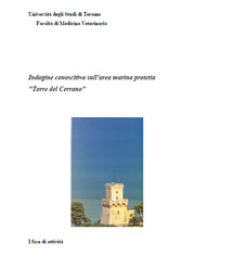 Tiscar et alii, Indagine conoscitiva AMP Torre del Cerrano, Fase 1, 2001